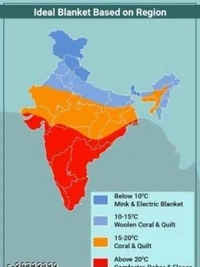 SOLAXO Jaipuri Silk Gold Print Designer Rajai / Comforter / Duvet / Blanket - Queen, Blue, Silk, Rajai, Pack of1